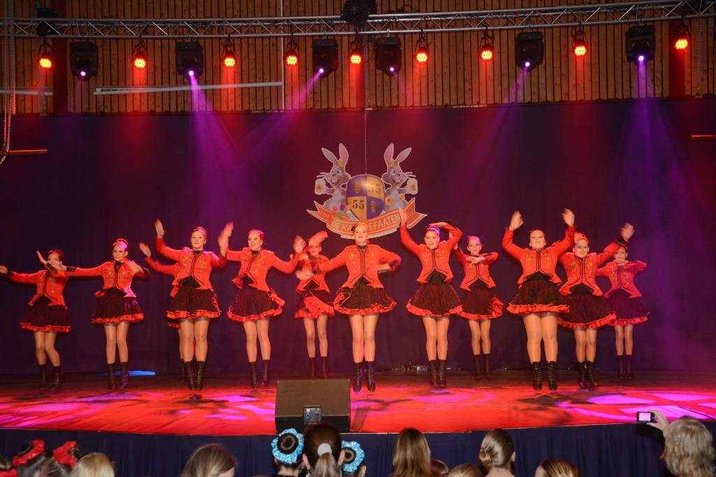 ../Images/Dansmarieke festival 2015 186.jpg